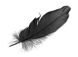 152096089193235500152096088648605900feather.jpeg