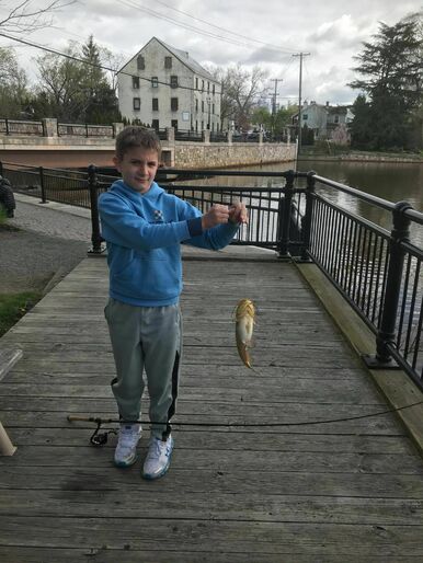 165634033050169700165634026205102500johnscatfish.jpg